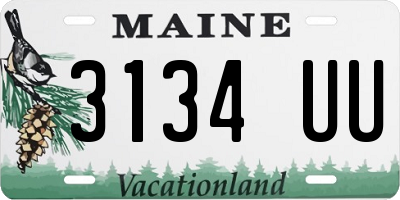 ME license plate 3134UU