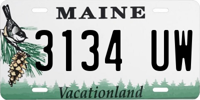 ME license plate 3134UW