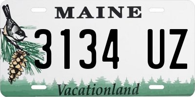 ME license plate 3134UZ