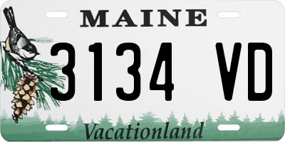 ME license plate 3134VD