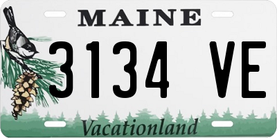 ME license plate 3134VE