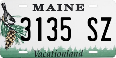 ME license plate 3135SZ