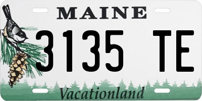ME license plate 3135TE