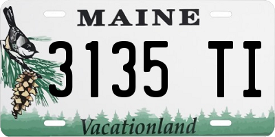 ME license plate 3135TI