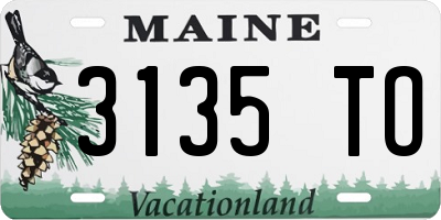 ME license plate 3135TO