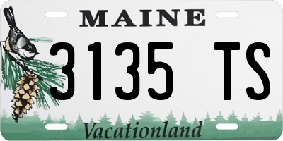 ME license plate 3135TS
