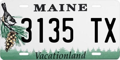 ME license plate 3135TX