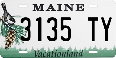 ME license plate 3135TY
