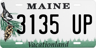 ME license plate 3135UP