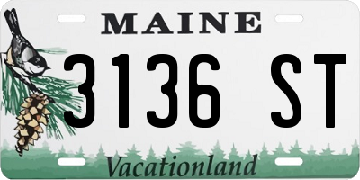ME license plate 3136ST