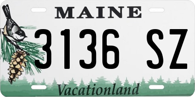 ME license plate 3136SZ