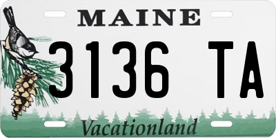ME license plate 3136TA
