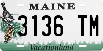 ME license plate 3136TM