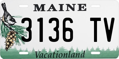 ME license plate 3136TV