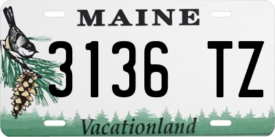 ME license plate 3136TZ