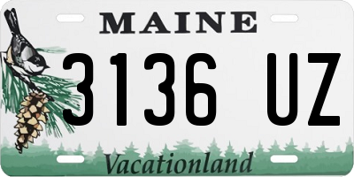 ME license plate 3136UZ