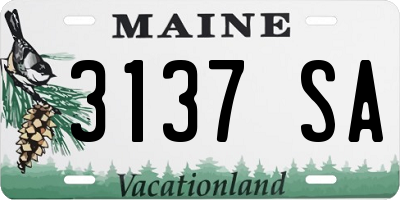 ME license plate 3137SA