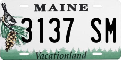 ME license plate 3137SM