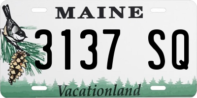ME license plate 3137SQ