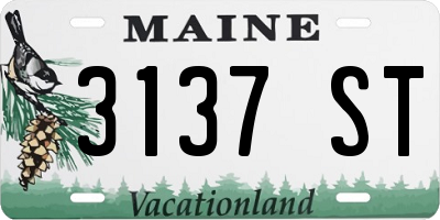 ME license plate 3137ST
