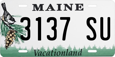 ME license plate 3137SU