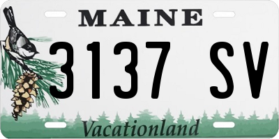 ME license plate 3137SV