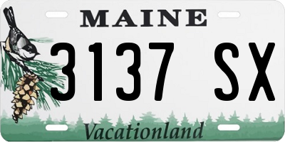 ME license plate 3137SX
