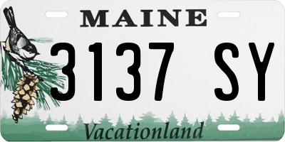 ME license plate 3137SY