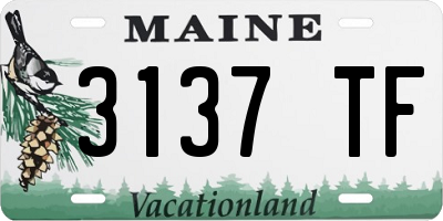 ME license plate 3137TF