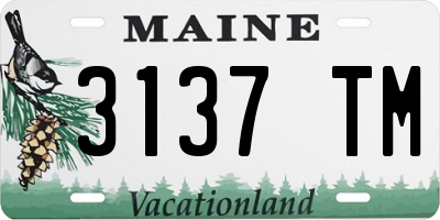 ME license plate 3137TM