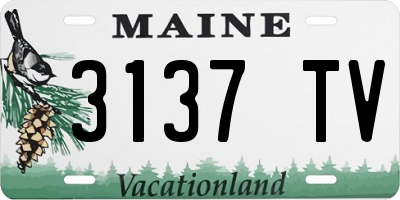 ME license plate 3137TV