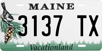 ME license plate 3137TX