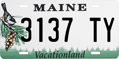 ME license plate 3137TY