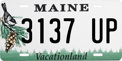 ME license plate 3137UP