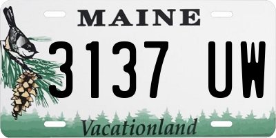 ME license plate 3137UW