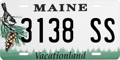 ME license plate 3138SS
