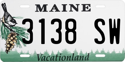 ME license plate 3138SW