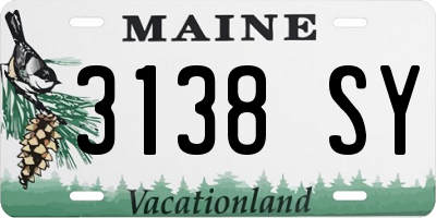 ME license plate 3138SY