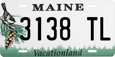 ME license plate 3138TL