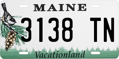 ME license plate 3138TN