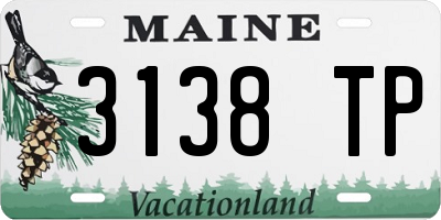 ME license plate 3138TP