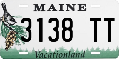 ME license plate 3138TT