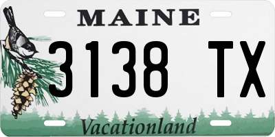 ME license plate 3138TX