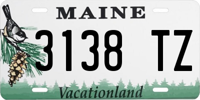 ME license plate 3138TZ
