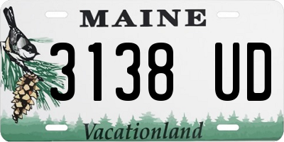 ME license plate 3138UD