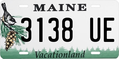 ME license plate 3138UE