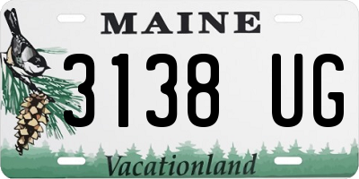 ME license plate 3138UG