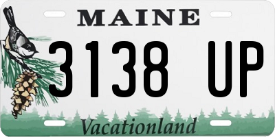 ME license plate 3138UP