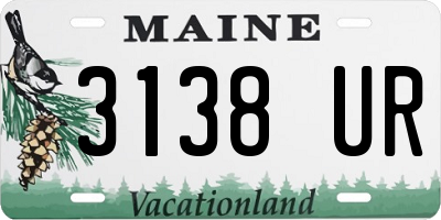 ME license plate 3138UR