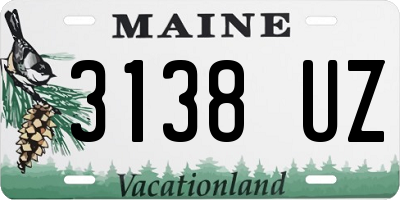 ME license plate 3138UZ